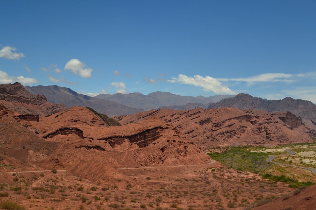 Alto del Venado