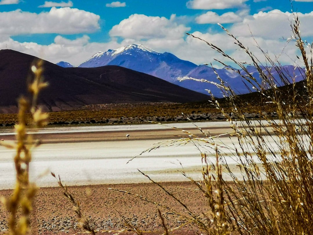 Salitral Colorado