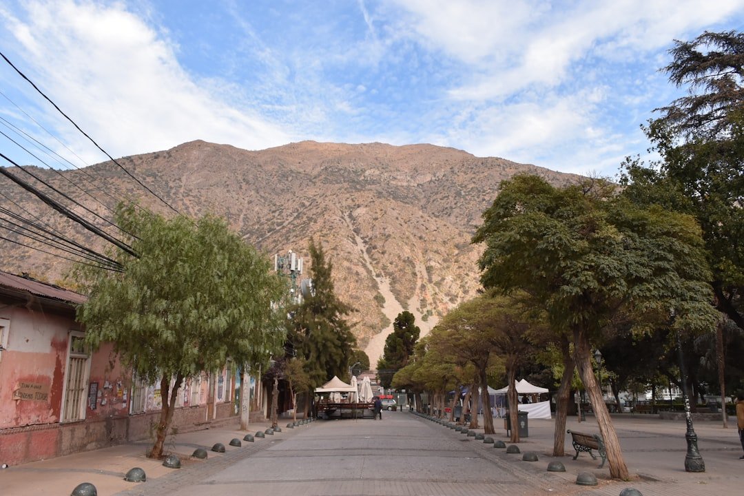 Alto de los Rastrojos