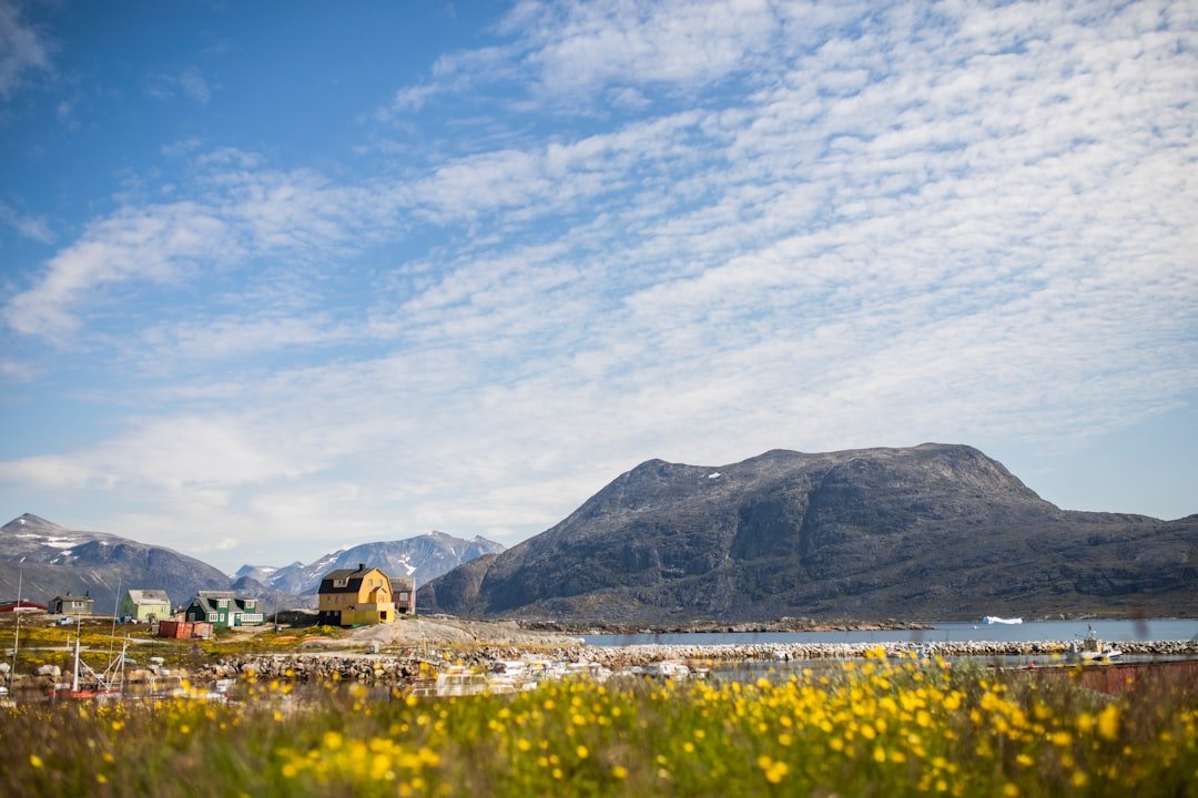 Brystværnene