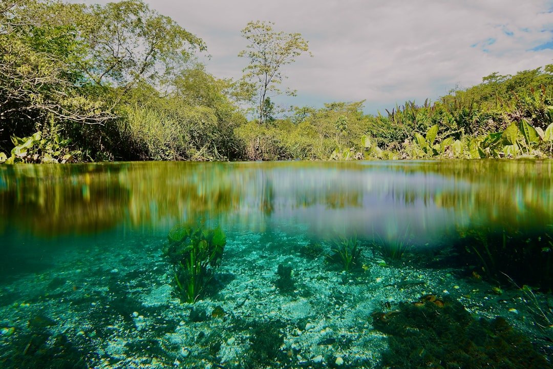 Cachoeira Ariranha
