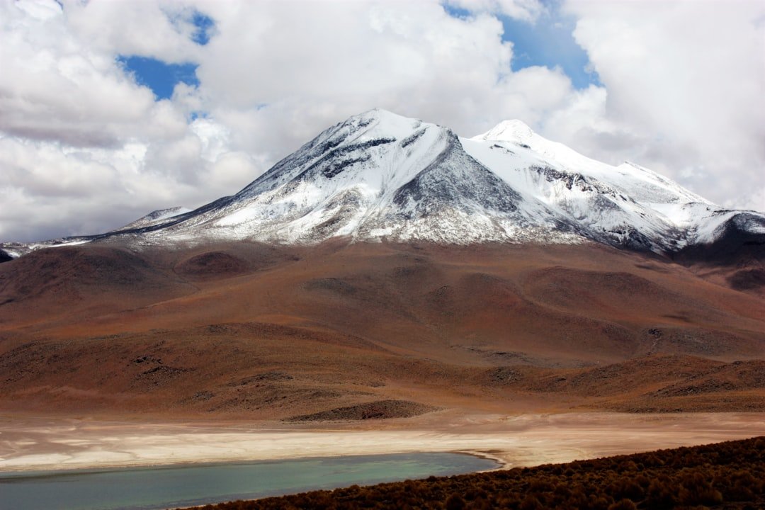 Salar de Purisunchi