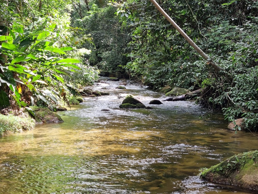 Cachoeira Açaí