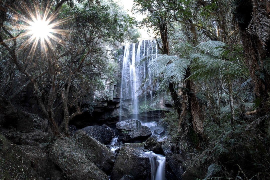 Cachoeira Catarina