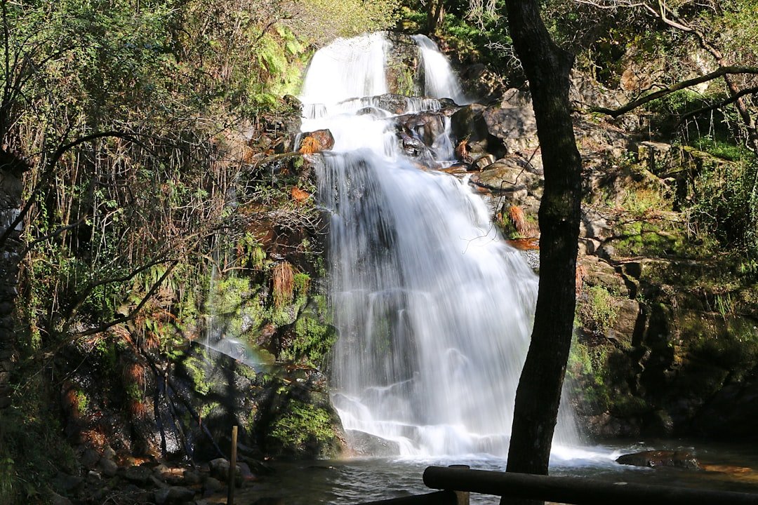 Cachoeira Carona