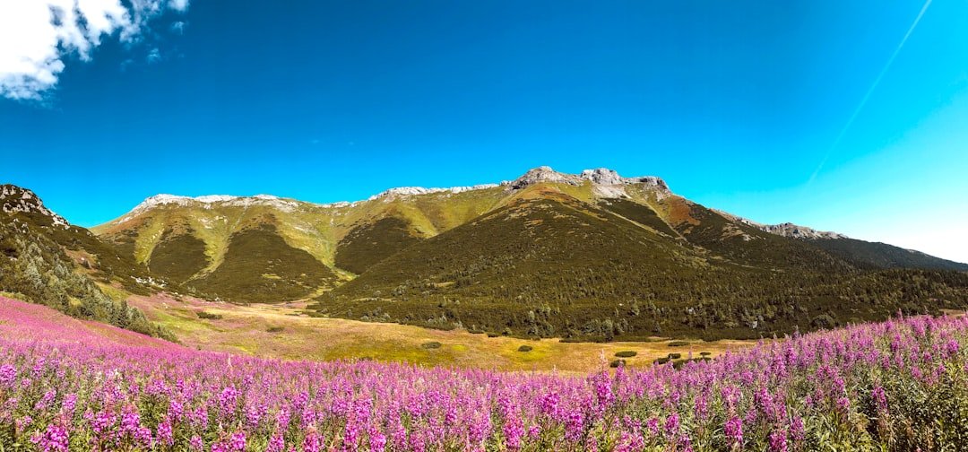 Cerro Morado