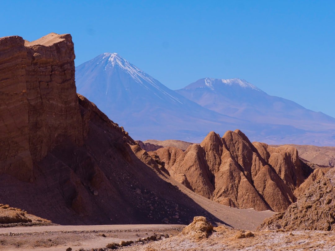 Trama de Salar
