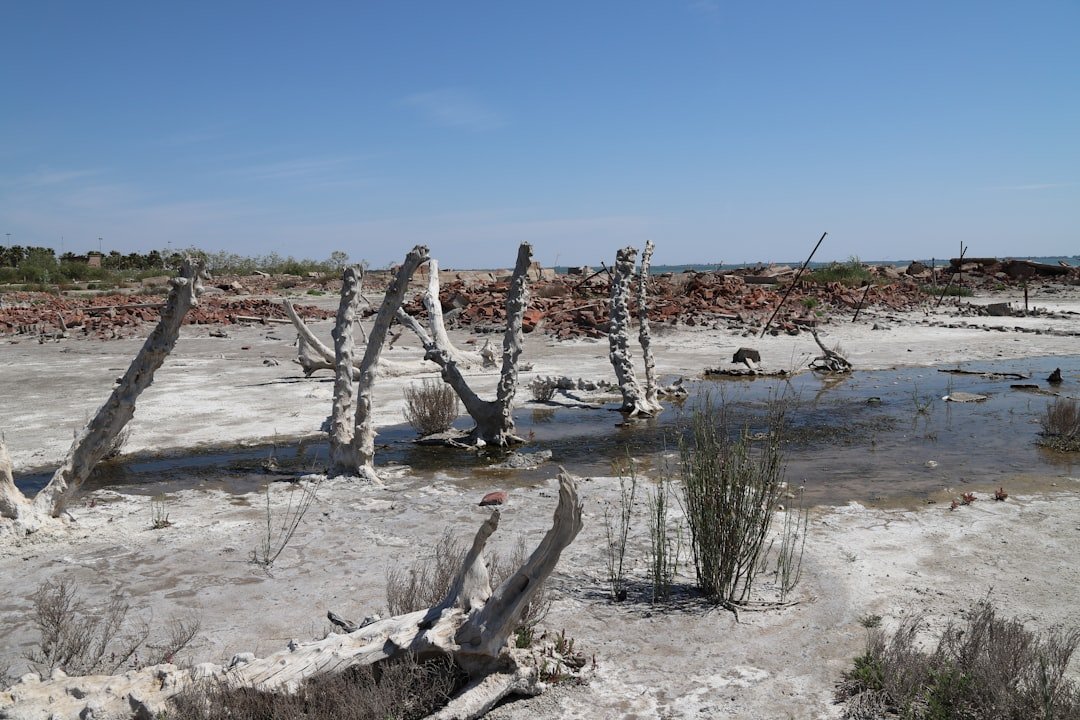 Salina de Piedra