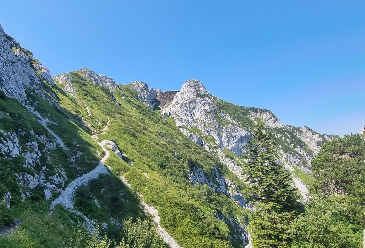 Črna Prst