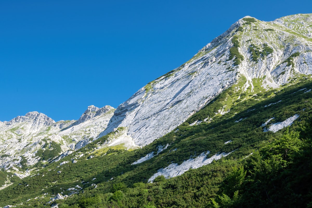 Vrh nad Škrbino