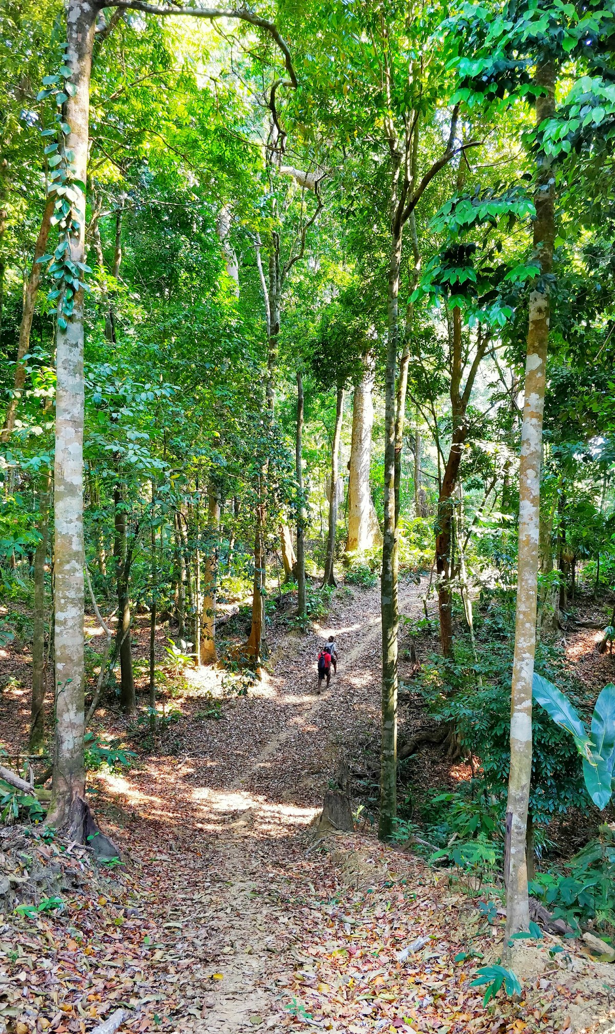 Rungrang Taung