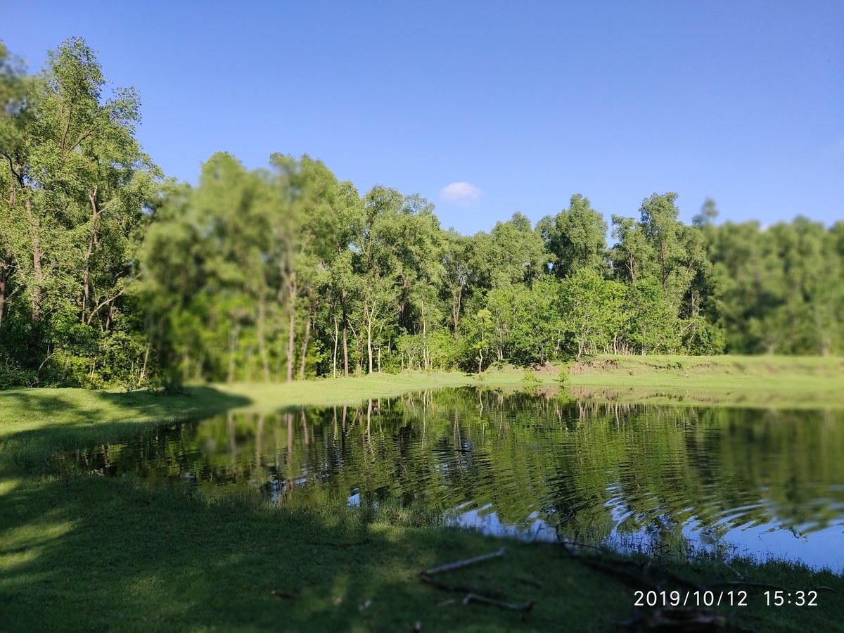 Nijhum Dwip National Park