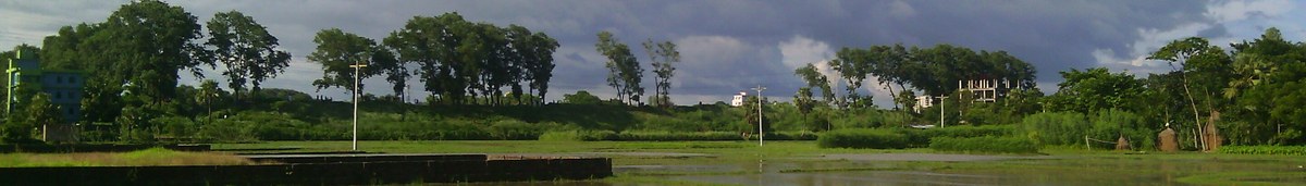 Bijoy Singh Dighi