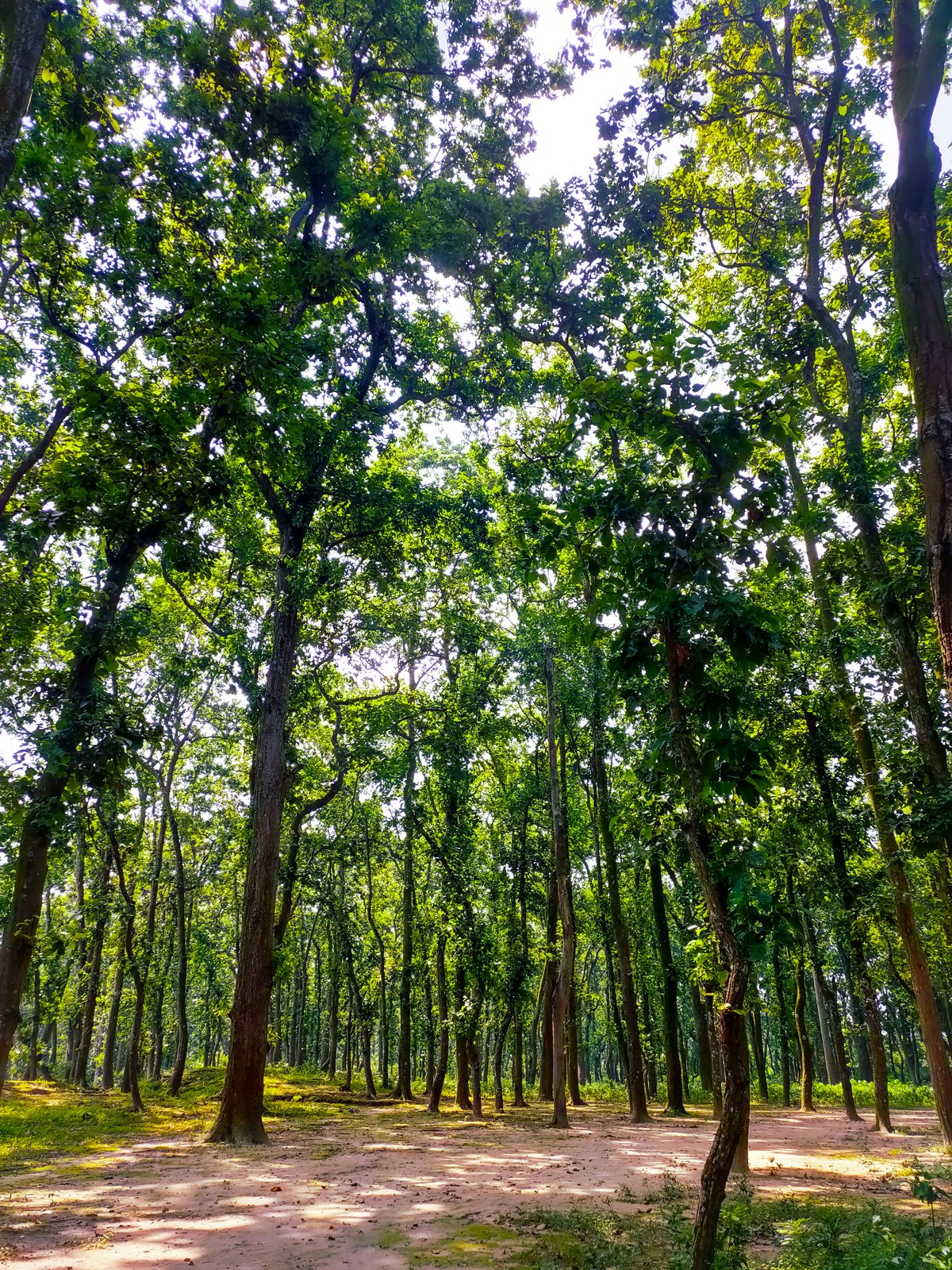 Birgonj National Park