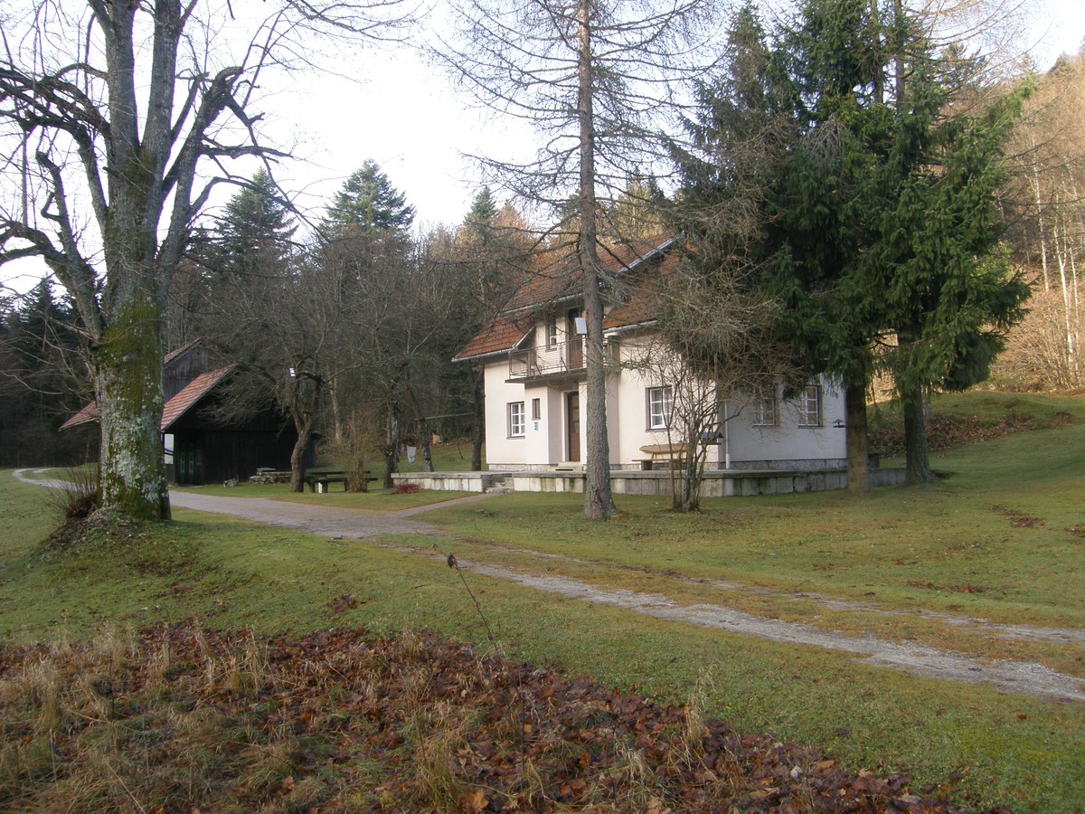 Mokrec