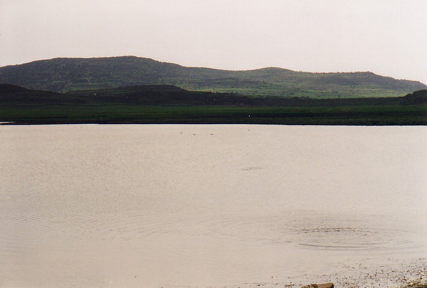 Chichat