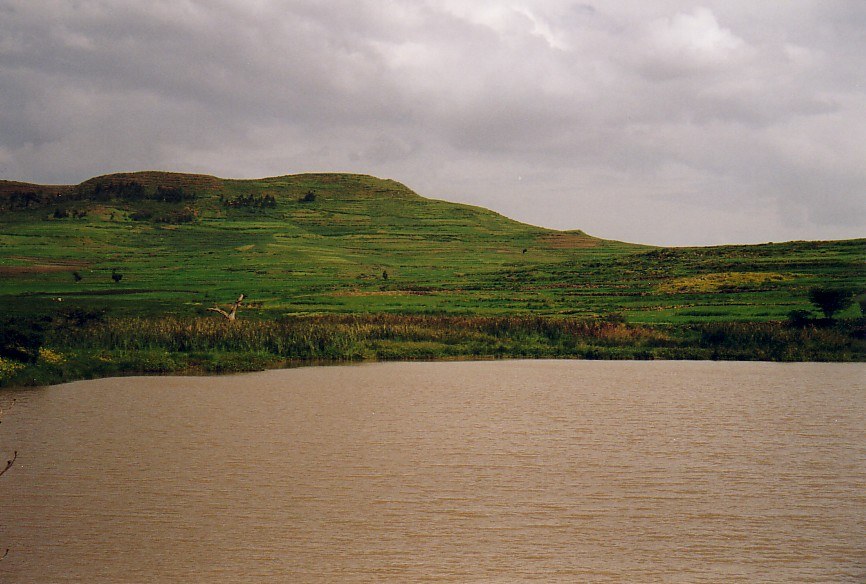 Chini (reservoir)