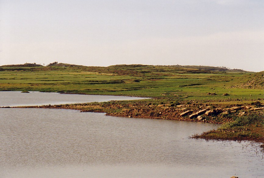 Addi Amharay