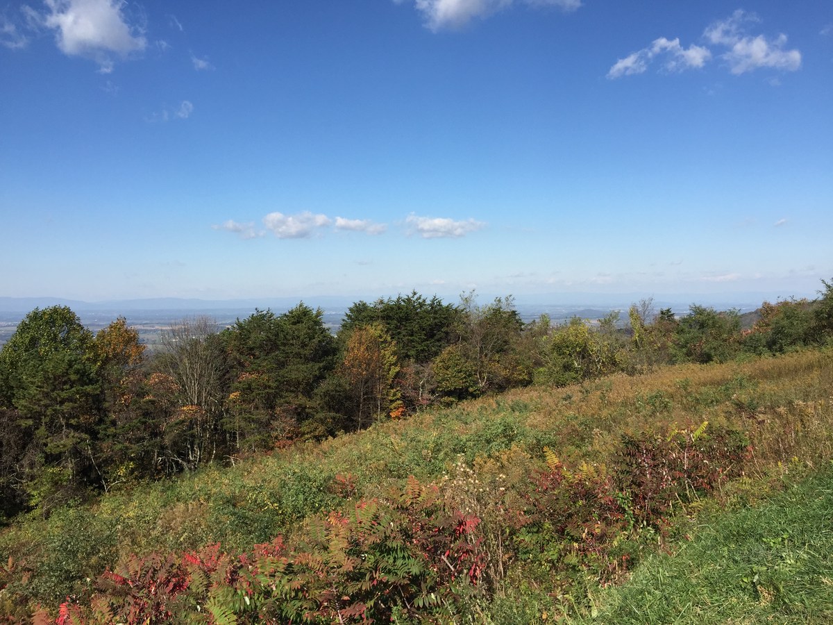 Calf Mountain Overlook