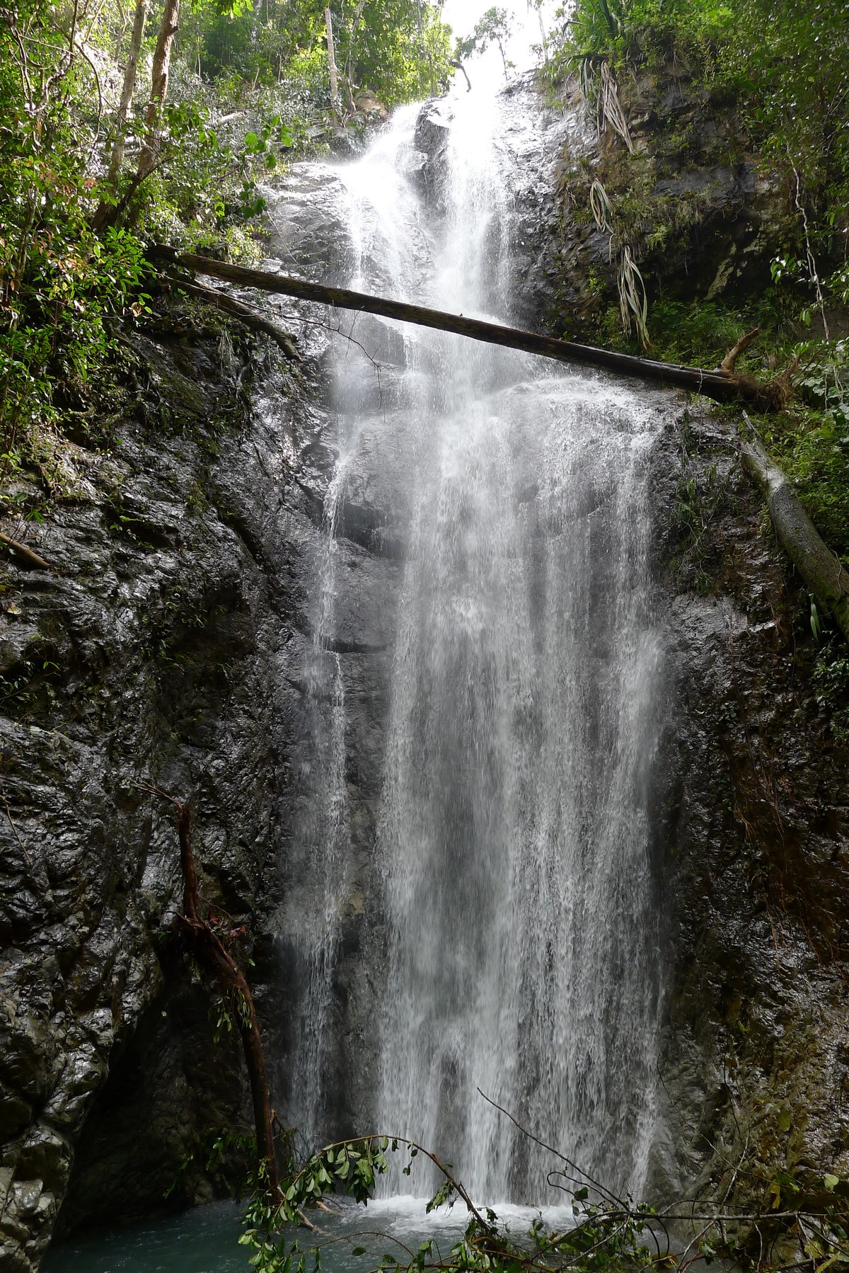 Bukit Merbak