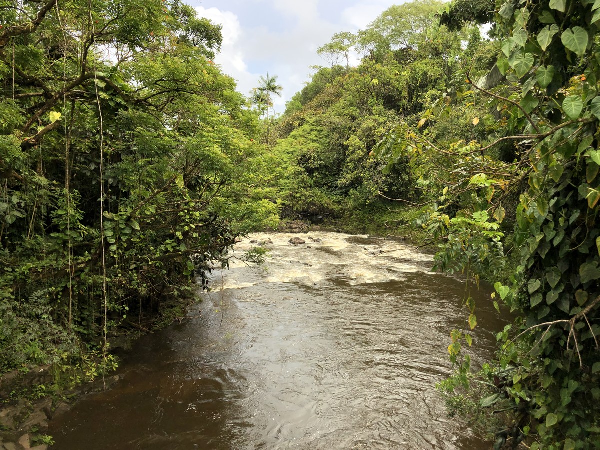 Kanoa