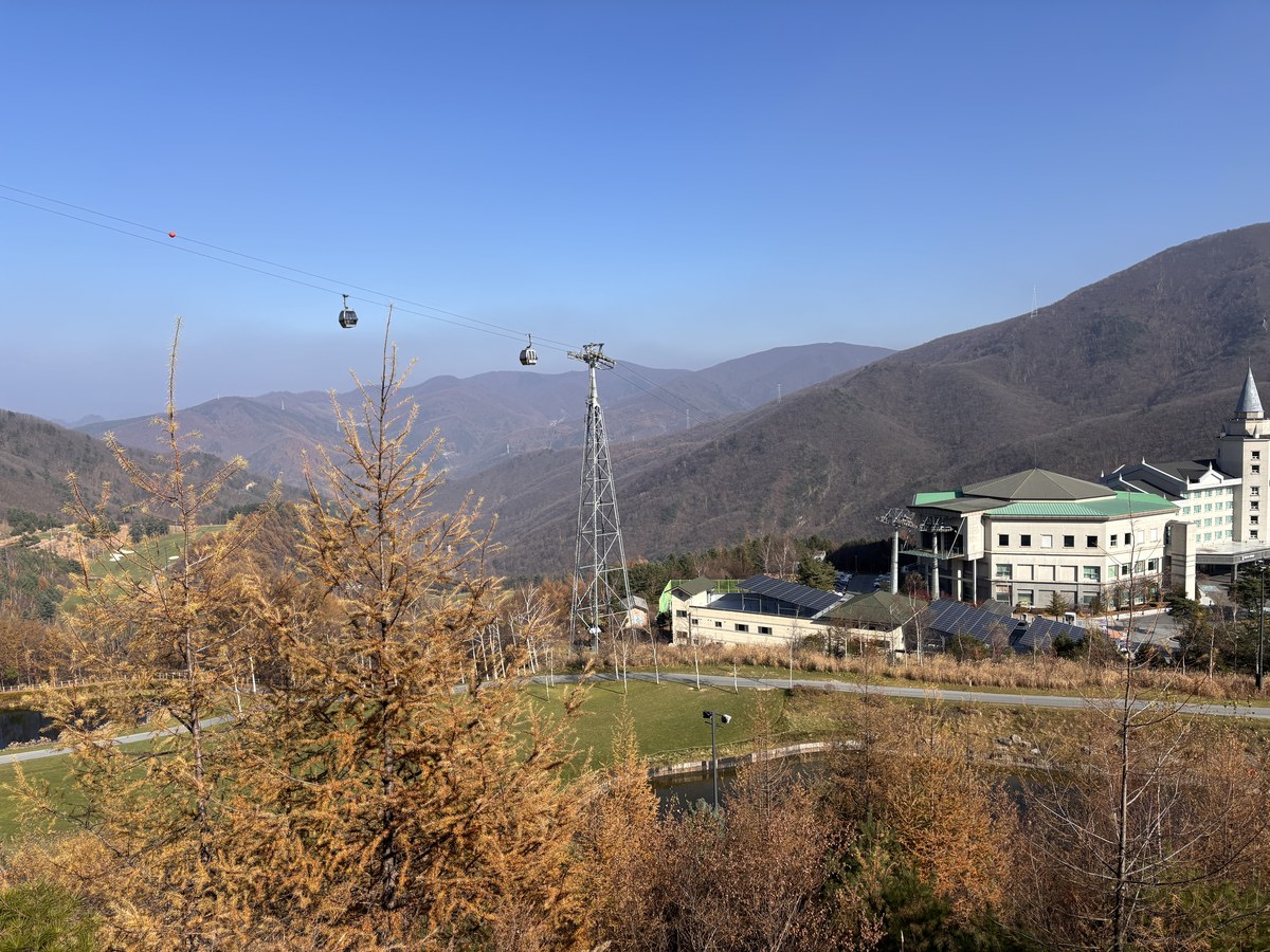 Pakchwi-gul