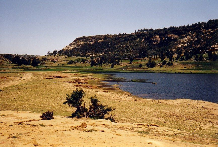 Felaga