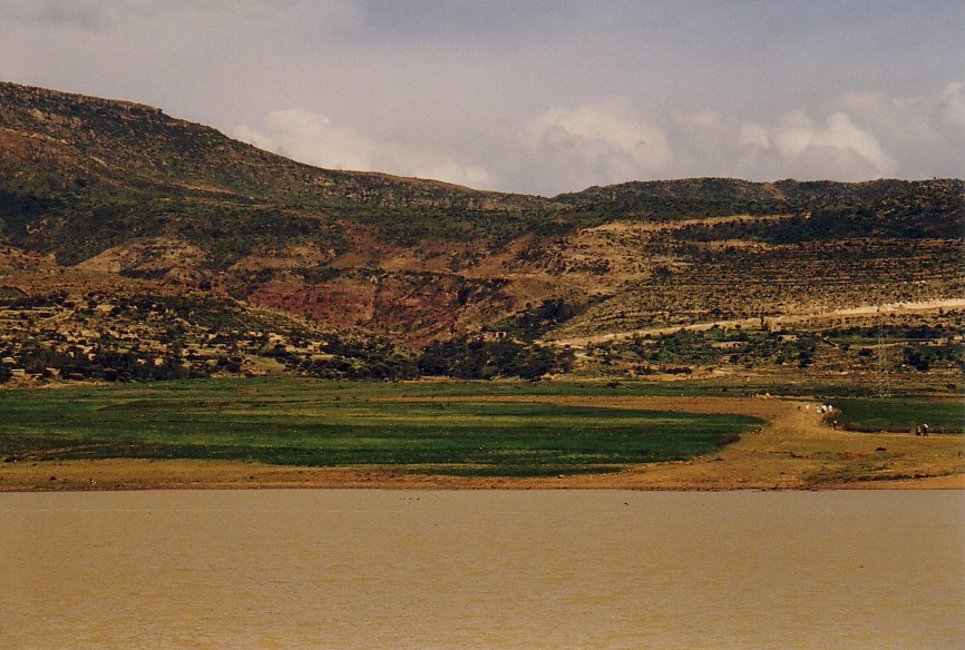 Gereb May Zib'i