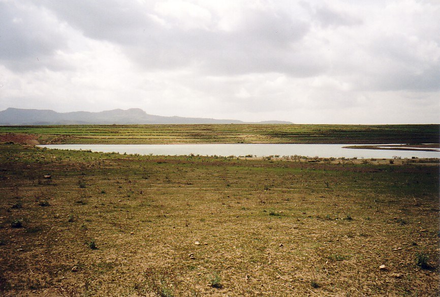 Gereb Segen