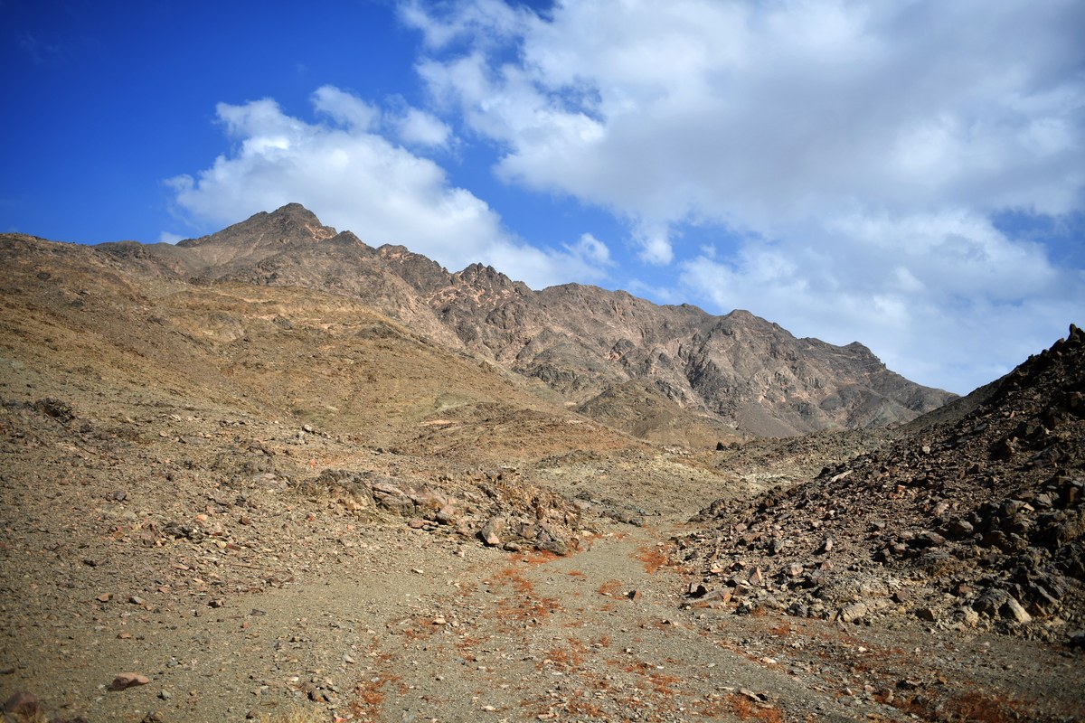 Jabal Umm Ḩarbah