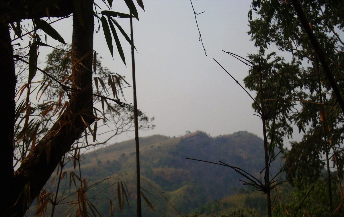 Mukhra Thuthai haphong