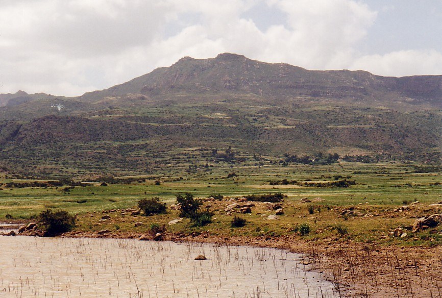 Addi Qenafiz