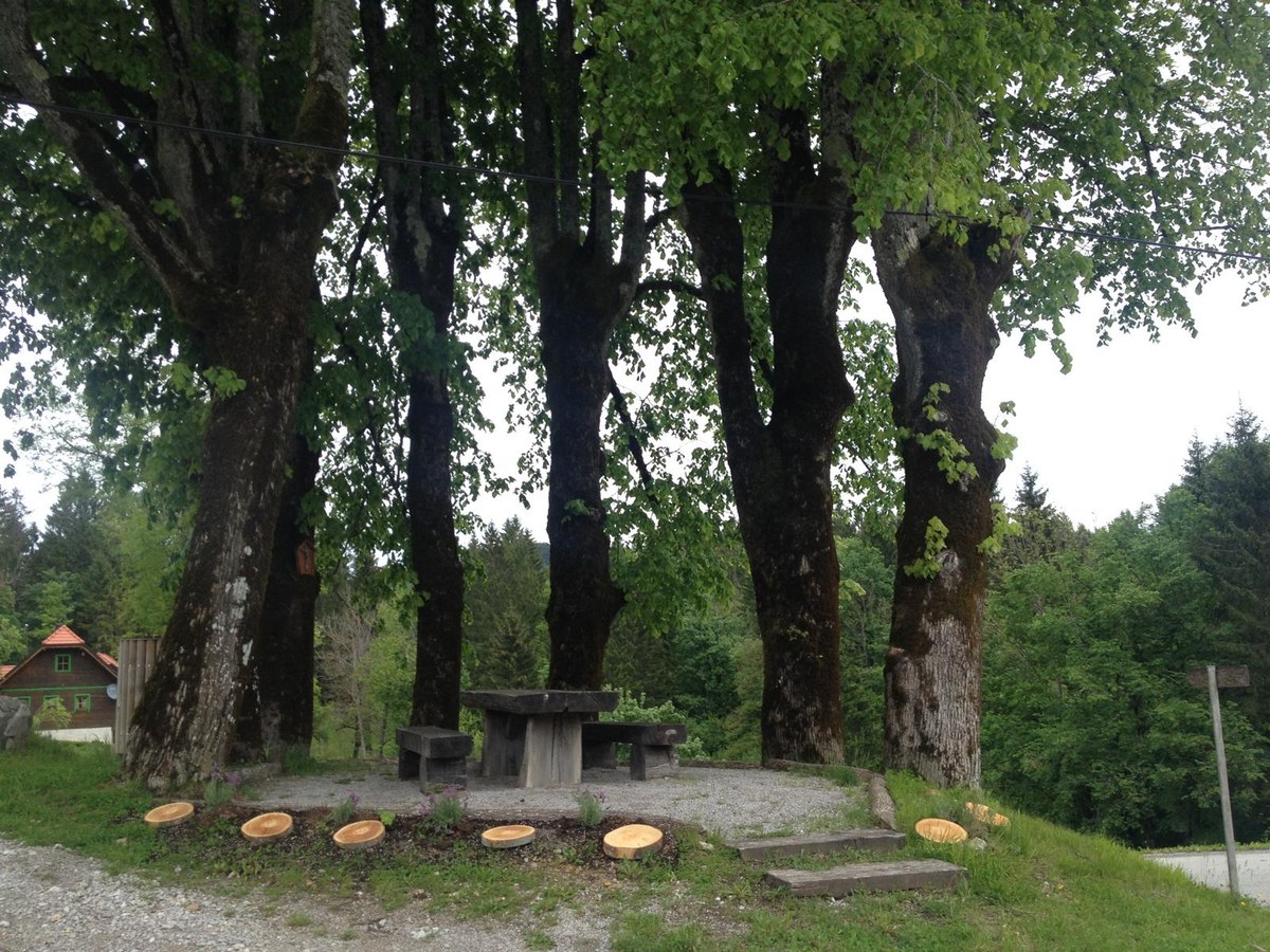 Kapič