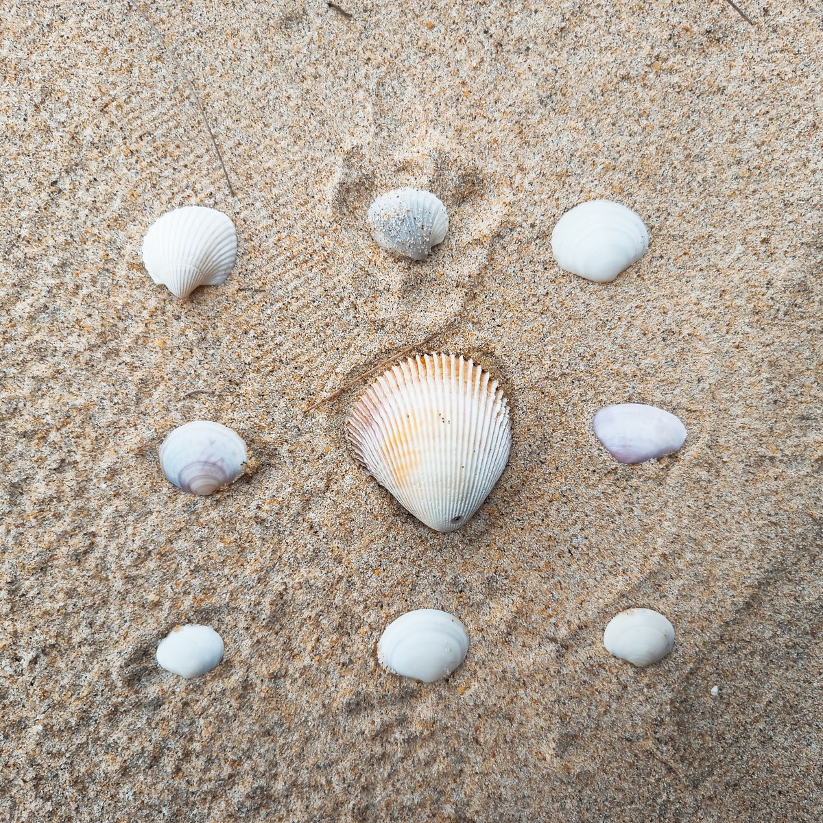 Pantai Kembali