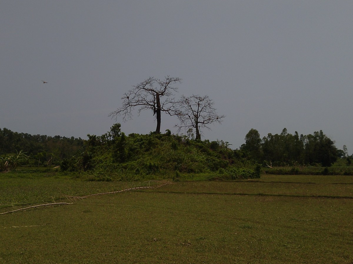 Lakhimura