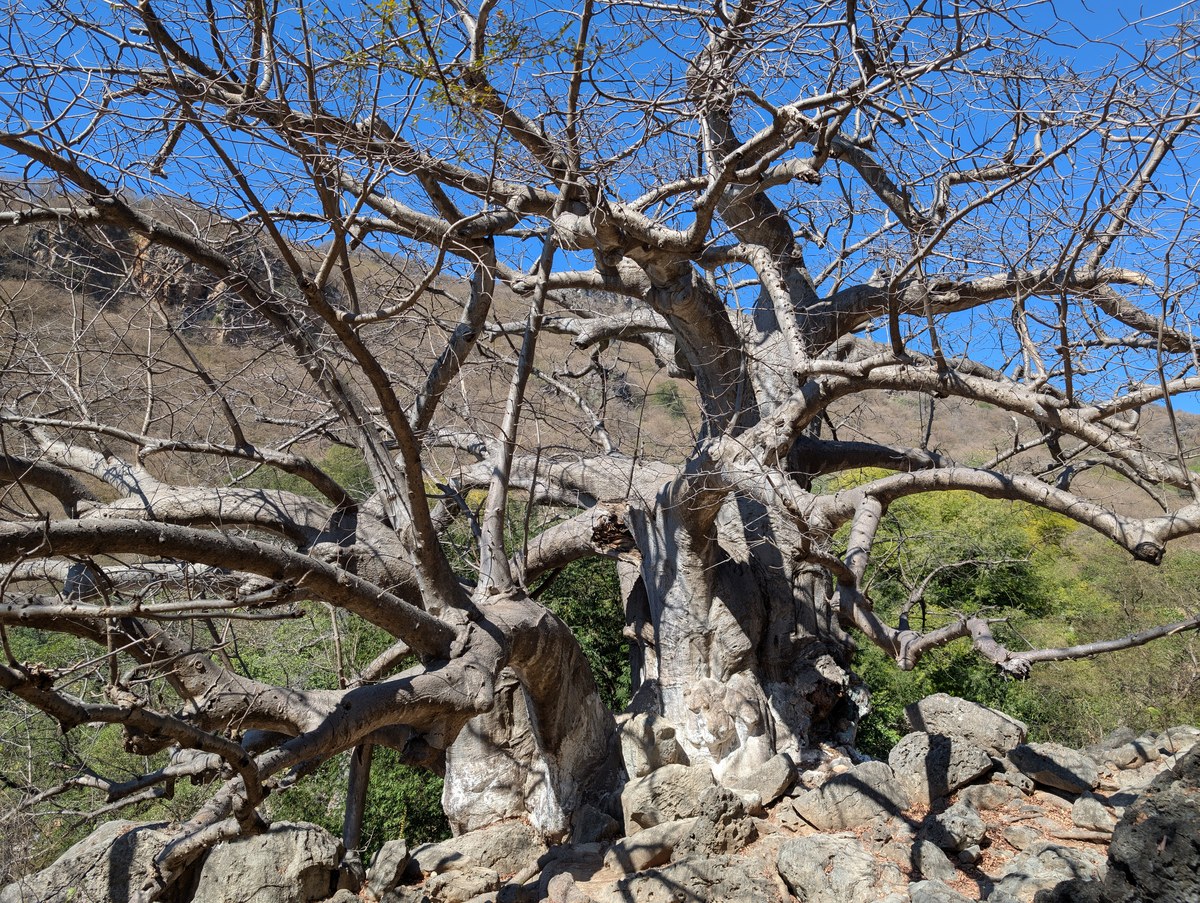 Jabal Hār