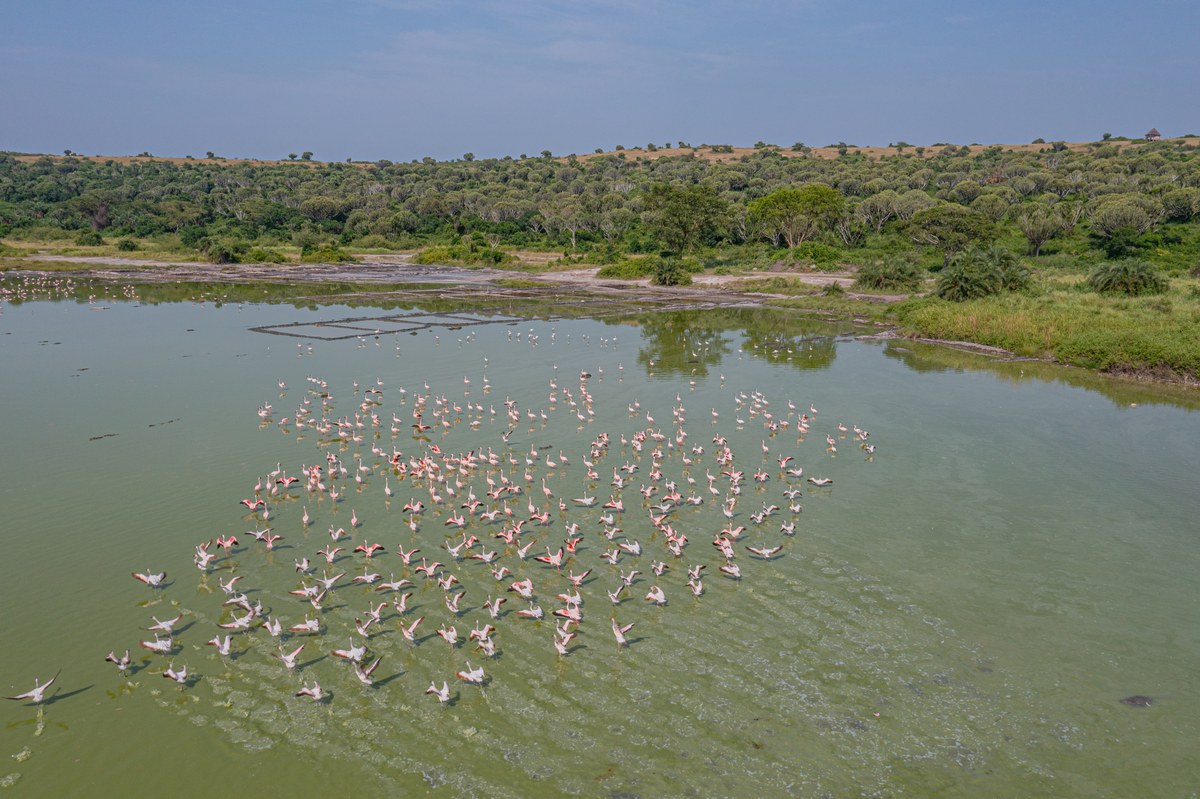 Lake Bunyampaka