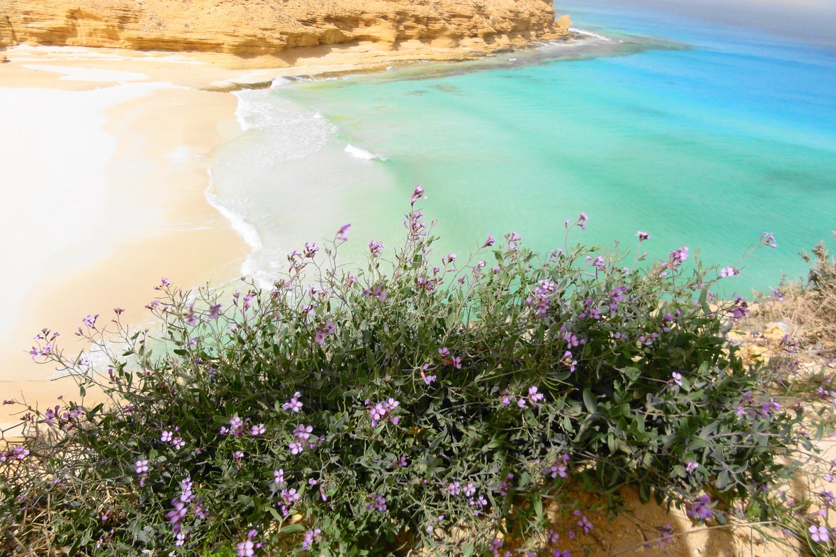 Agiba beach