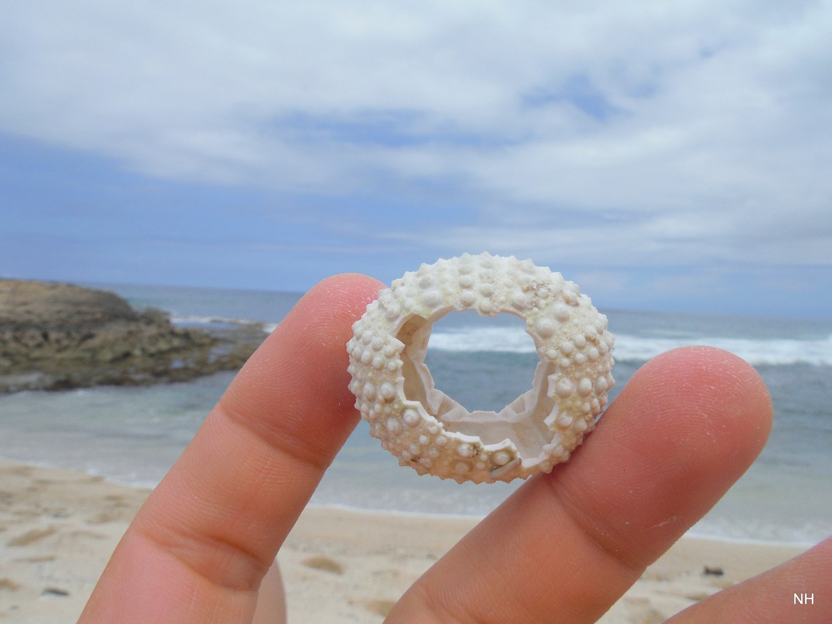 Laukinui Beach