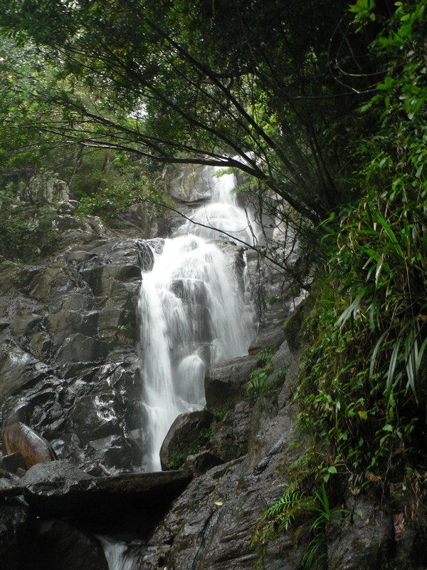 Malgallakanda