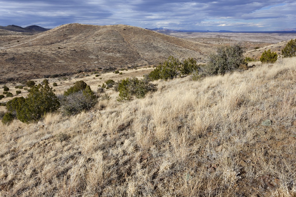 Animas Peak