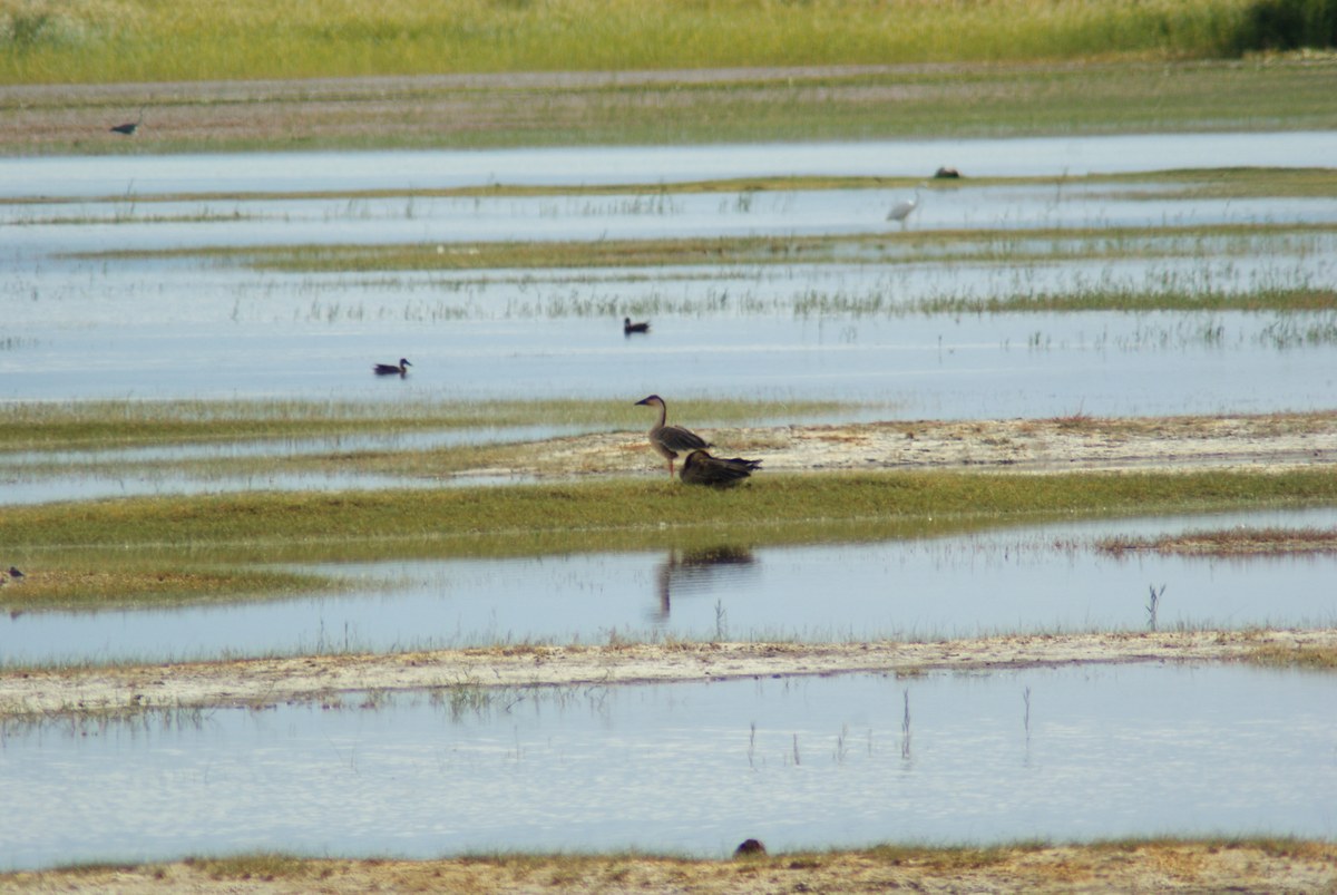 Khar Us Nuur National Park