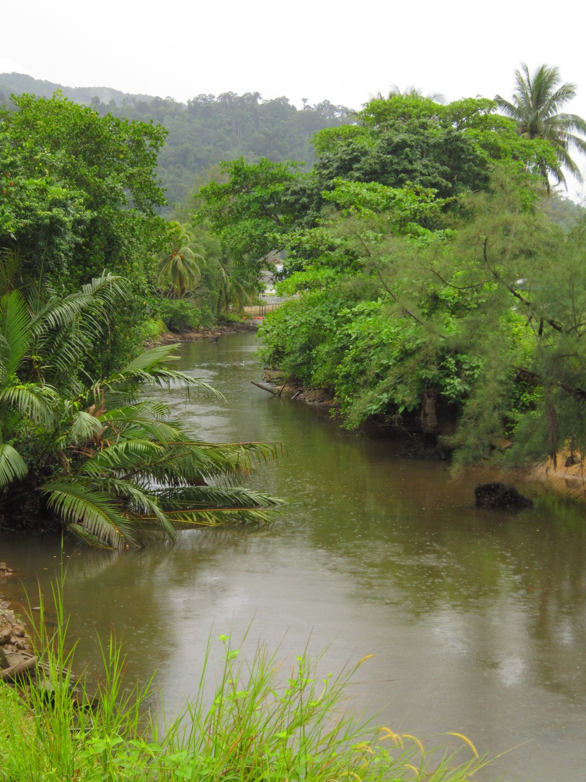 Bukit Parang Panjang