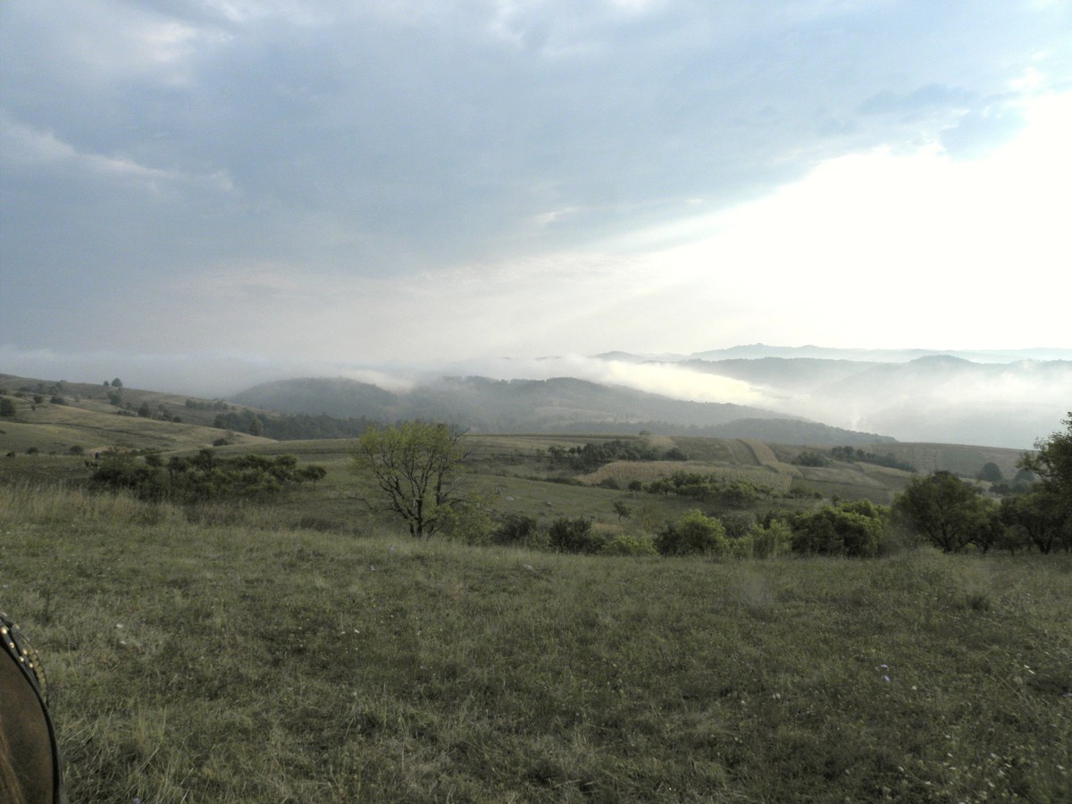 Dealu Stenca