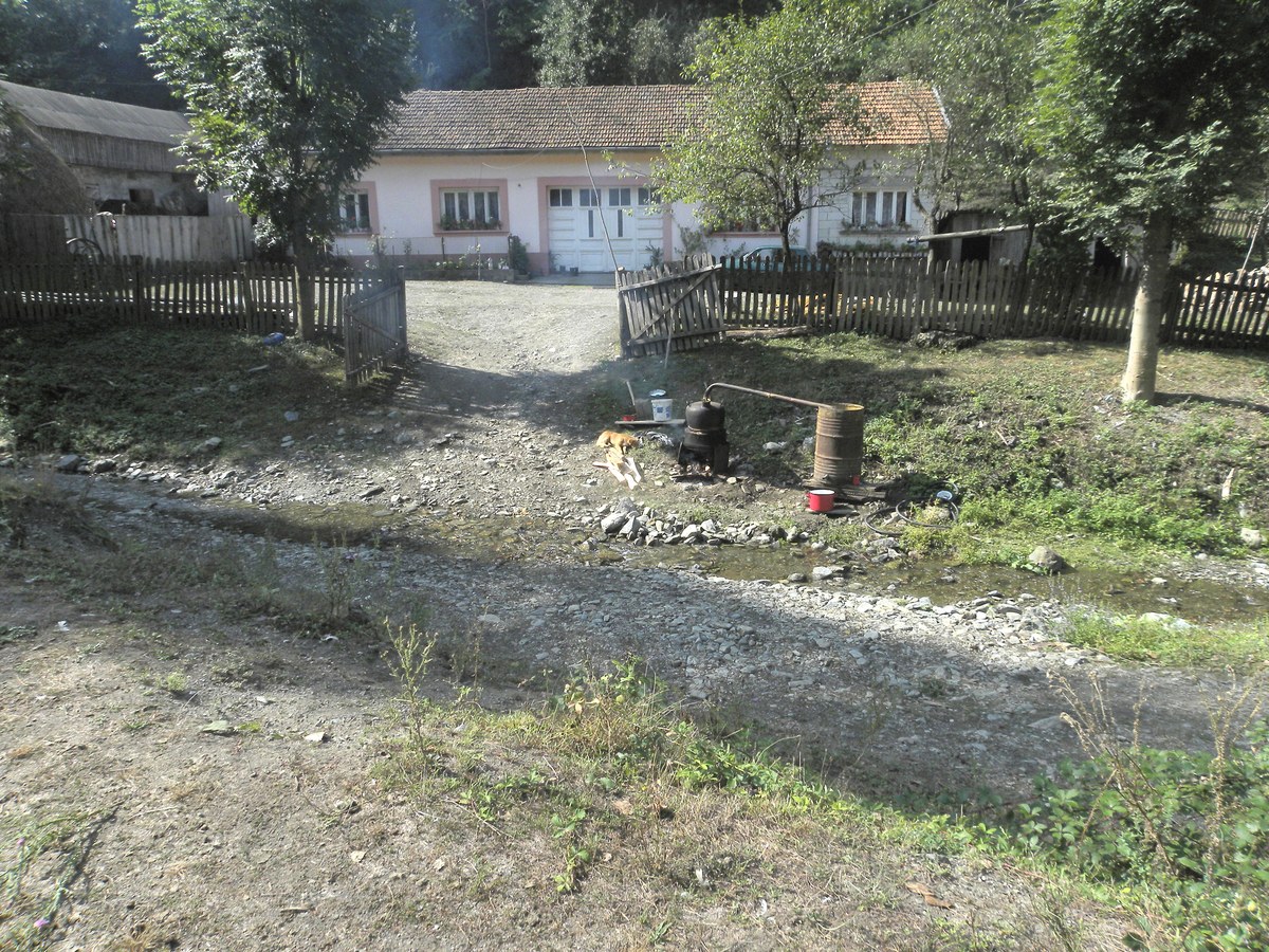 Dealu Răchita