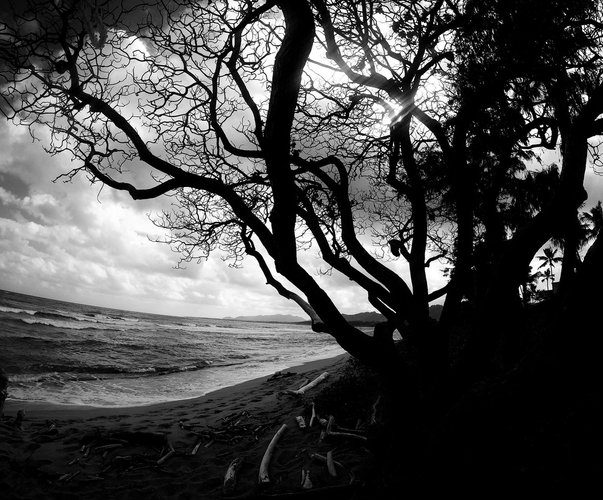 Royal Coconut Coast