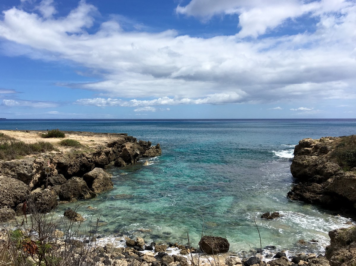 Puau