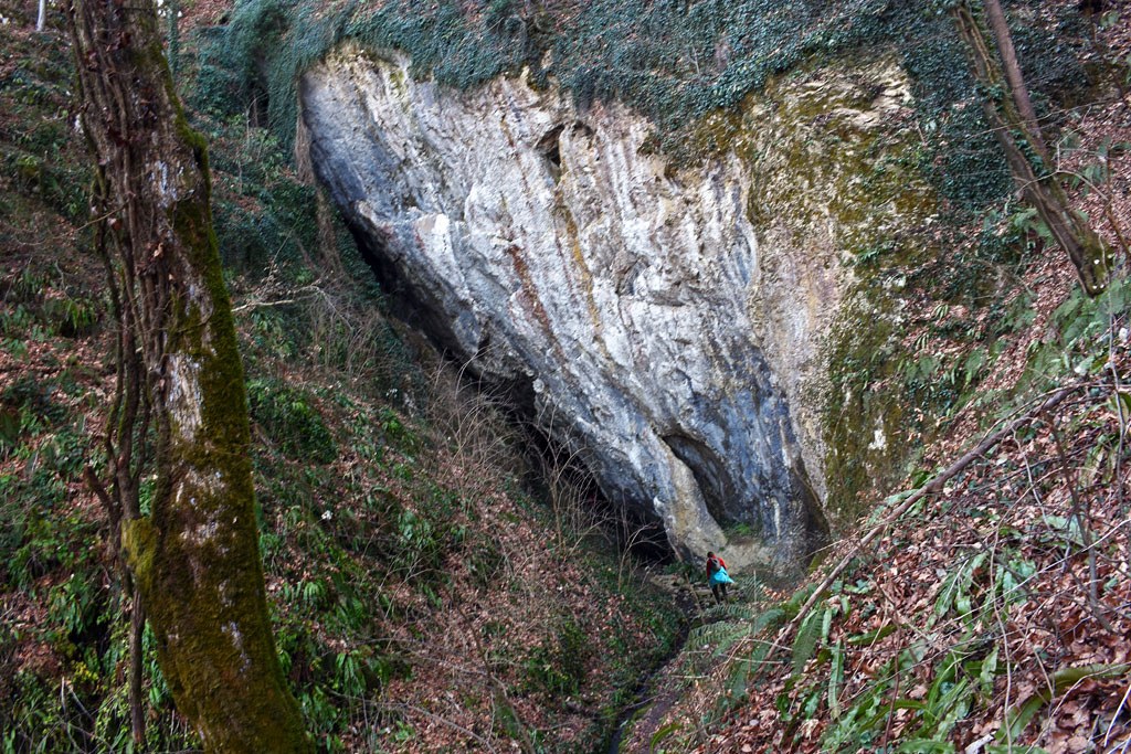 Belojača