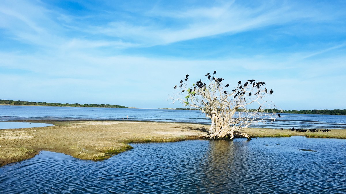 Andarakala Kalapuwa