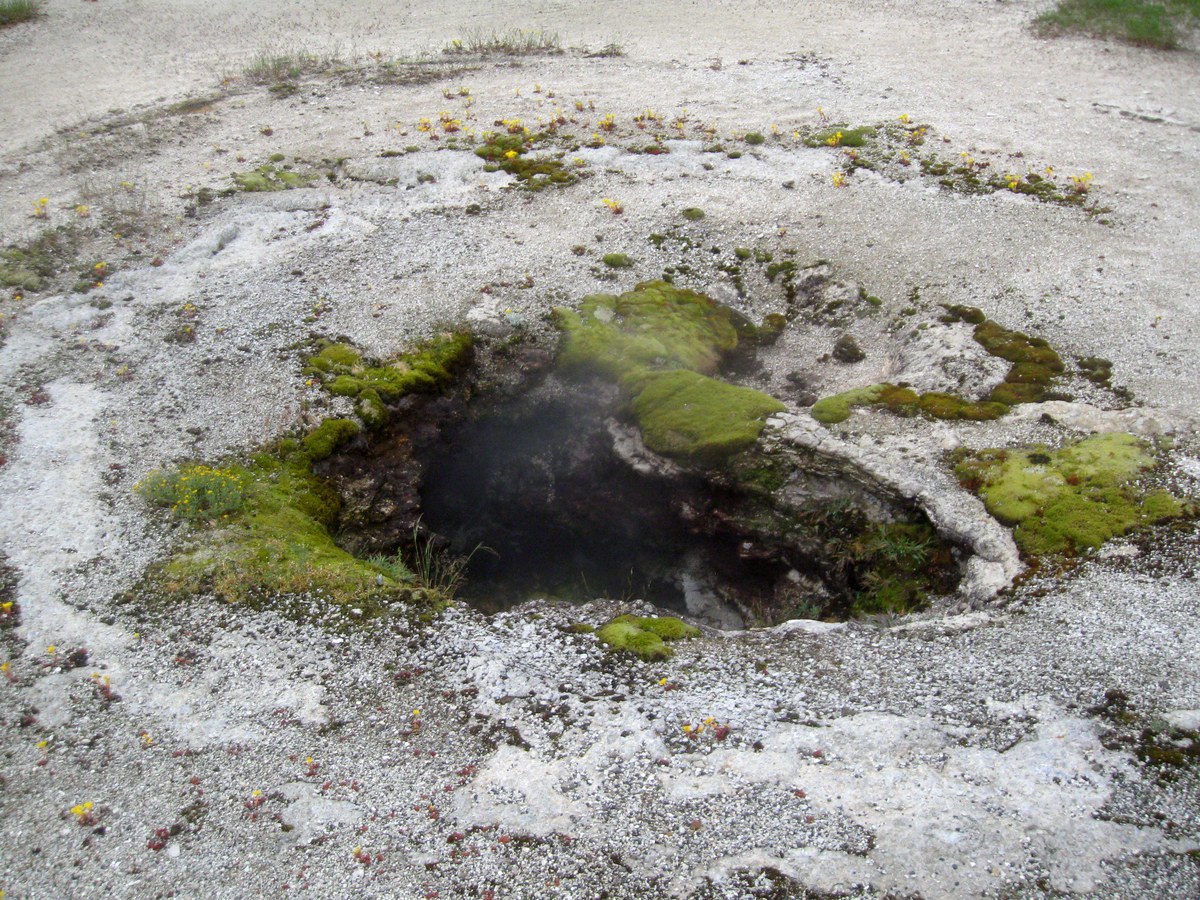 Black Pearl Geyser